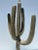 Brass 1970s Brass Saguaro Cactus Sculpture/Floor Lamp For Sale - Image 8 of 13