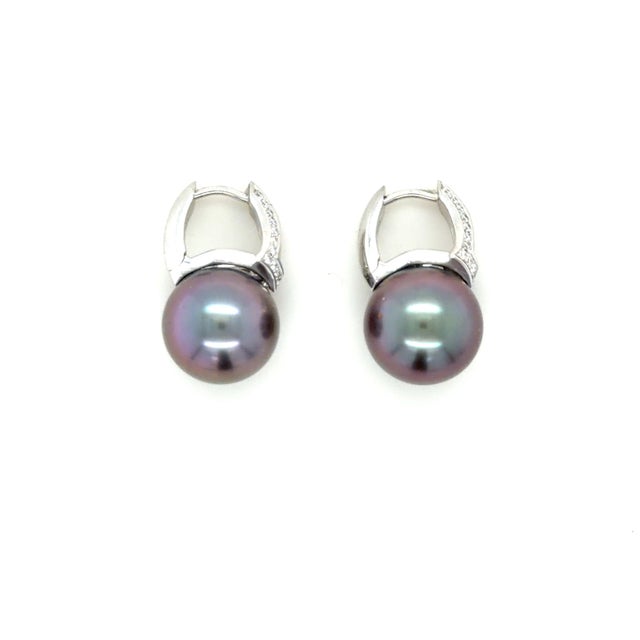 Mikimoto, 18 Karat White Gold, Cultured South Sea Pearl and Dianond Earrings, Pair For Sale - Image 4 of 7