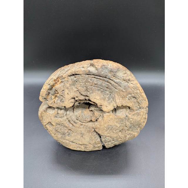 1940s African Congolese Handcrafted "Songye Fetish" For Sale - Image 11 of 11