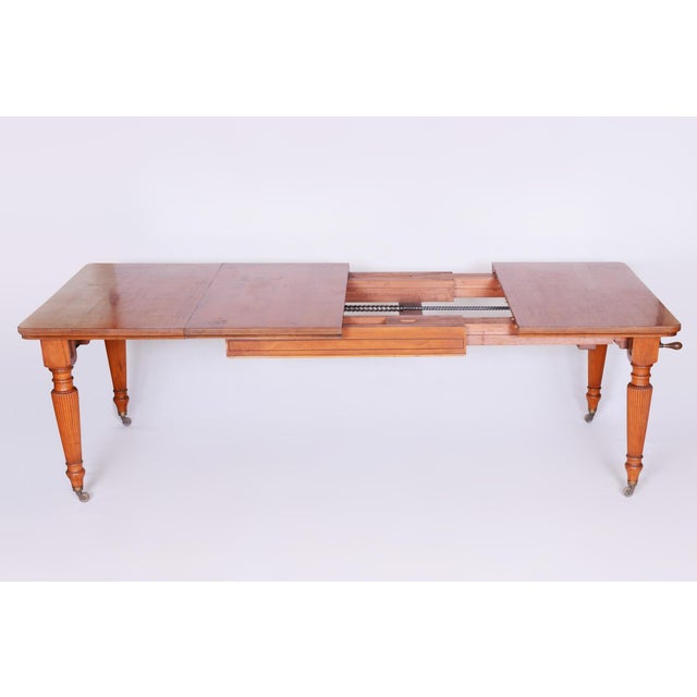 Animal Skin 19th Century British Satin Wood Dining Room Set with 12 Chairs from Maple & Co., Set of 15 For Sale - Image 7 of 18