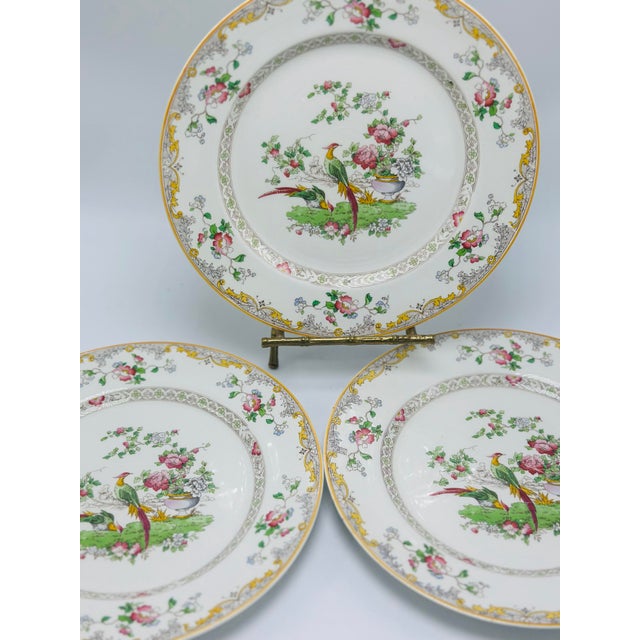 1950s Vintage Chinoiserie Plates, Set of Three For Sale - Image 5 of 7