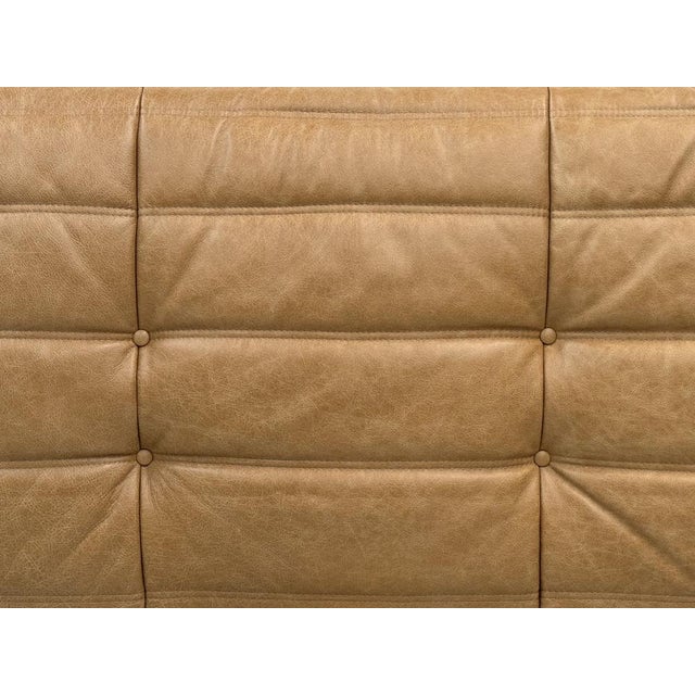 French 3-Seater Togo Sofa in Camel Leather attributed to Michel Ducaroy for Ligne Roset For Sale - Image 12 of 13