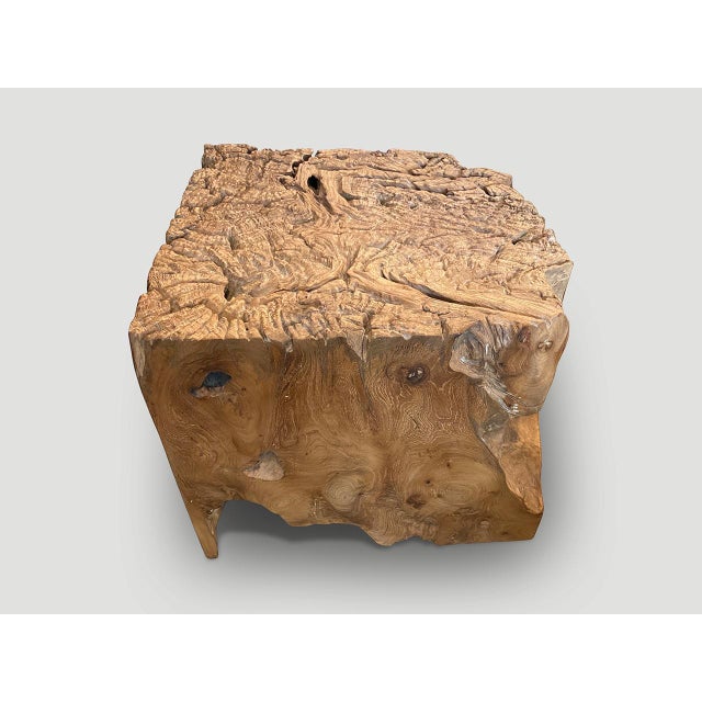 Wood Andrianna Shamaris Impressive Organic Teak Wood Side Table or Pedestal For Sale - Image 7 of 18