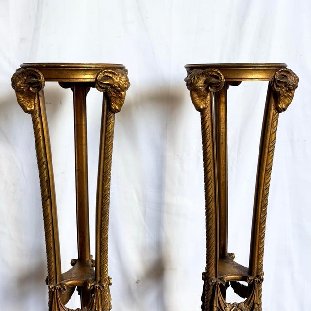 Neoclassical Vintage Neoclassical-Style Carved Ram Head Giltwood Pedestals/Gueridon Stands - A Pair For Sale - Image 3 of 8
