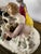 1930s Vintage Musical Continental Porcelain Figurine Group Lamp Dresden Style For Sale - Image 5 of 17