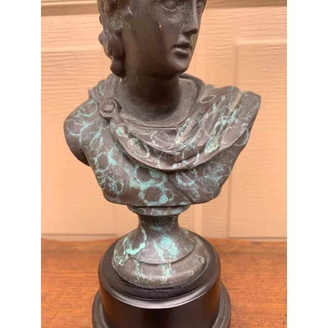 Classical Verdigris Brass Bust of Apollo Belvedere For Sale In South Bend - Image 6 of 11