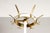 1960s Vintage Freestanding Coat Rack in the style of the United Workshops Munich, 1960s For Sale - Image 5 of 9
