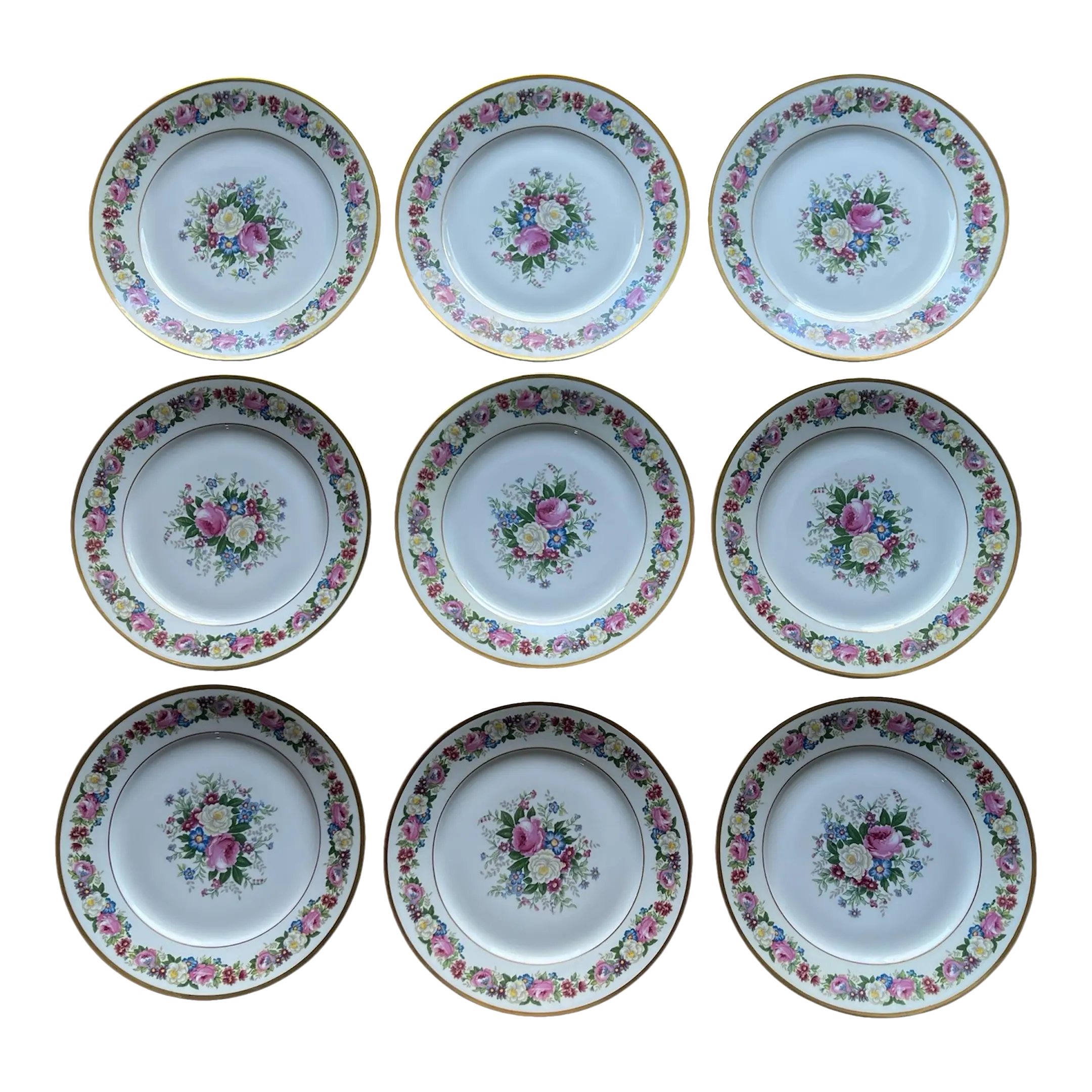 1908 Vintage Bernardaud & Cie Limoges France Hand Painted 