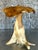 Vintage Boho Carved Mushroom For Sale - Image 9 of 10