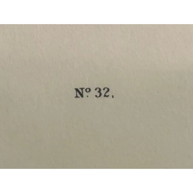 Vintage Audubon Society Cardinal & Grosbeak Framed Print - 24x29 Bird Art For Sale - Image 10 of 12