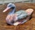 A Decorative French Folk art Decoy Duck This is a good sound piece of French Country living, our decoy has a flat...