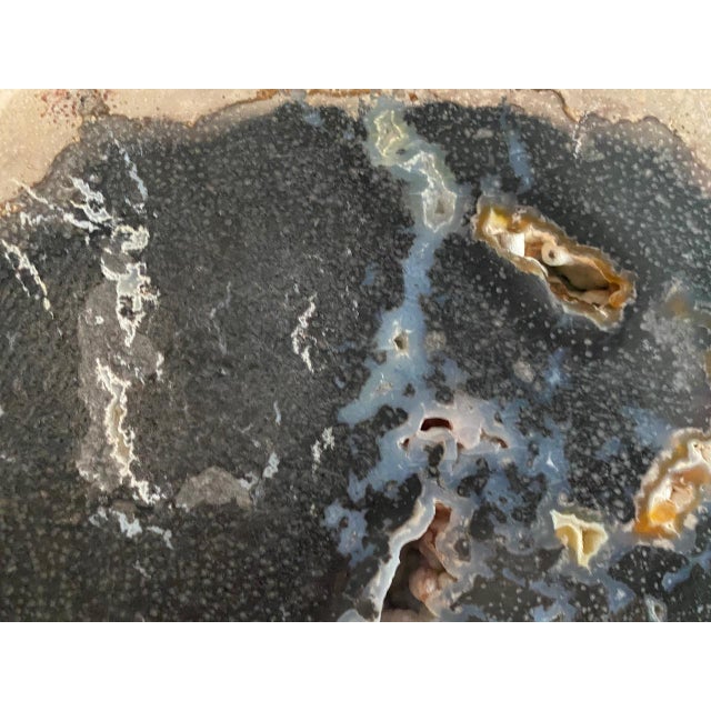 2010s Andrianna Shamaris Rare Palm Petrified Wood Slab For Sale - Image 5 of 18