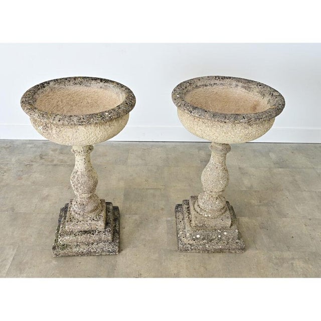 Stone Gray English Pair of 19th Century Cast Stone Planters For Sale - Image 8 of 14