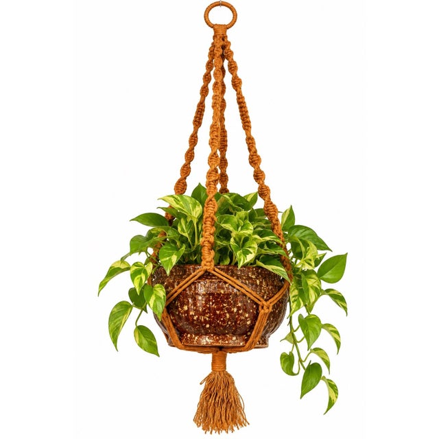 Vintage macramé hanging plant holder in a warm brown/orange tone, featuring intricate hand-knotted detailing, multiple...