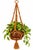 Vintage macramé hanging plant holder in a warm brown/orange tone, featuring intricate hand-knotted detailing, multiple...