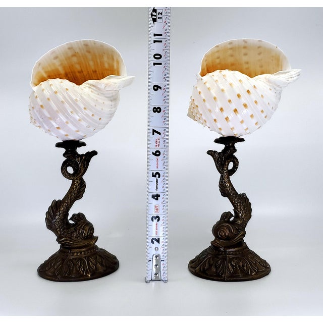 Christa's South Seashells Sculpture Pair Seashells Shells & Antique Koi For Sale - Image 4 of 14