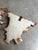 Pair of Cherub Resin Wall Brackets/Sconces With Gold Accents For Sale - Image 4 of 7
