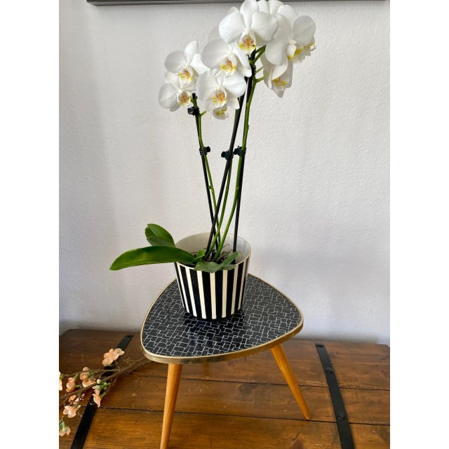 Kidney-Shaped Formica Flower Table or Plant Stand, 1950s For Sale - Image 11 of 12