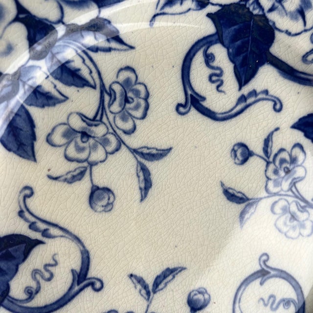 Antique Flora Ironstone Dinner Plates from Creil and Montereau, 1800s, Set of 6 For Sale - Image 9 of 13