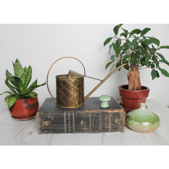 Vintage brass watering can. Made in England. Makers mark on bottom. Patina.