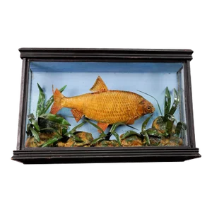 1900s Antique Glass Diorama With Bream