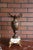 Lovely pair of 19th century bronze and marble garniture vases or urns. A fine example of elegant French antique décor. The...