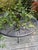 Early Salterini Patio Dining Table, Restored, Attributed For Sale - Image 9 of 9