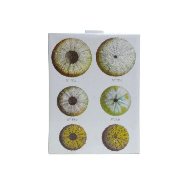 1970s Fabienne Jouvin Paris 2-Sided Porcelain Jar/Vase - A Study of Sea Urchins For Sale - Image 5 of 12