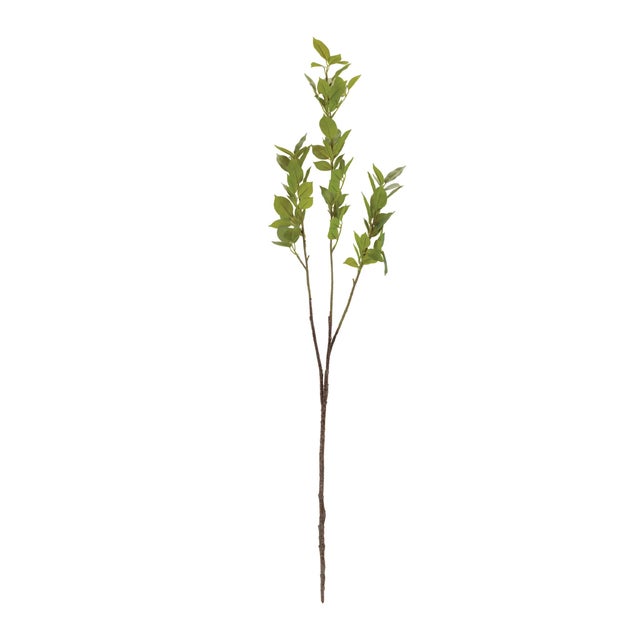 Bring the beauty of the outdoors into your home with this Natural Leaf Foliage Twig Branch Set. Each 43-inch branch...
