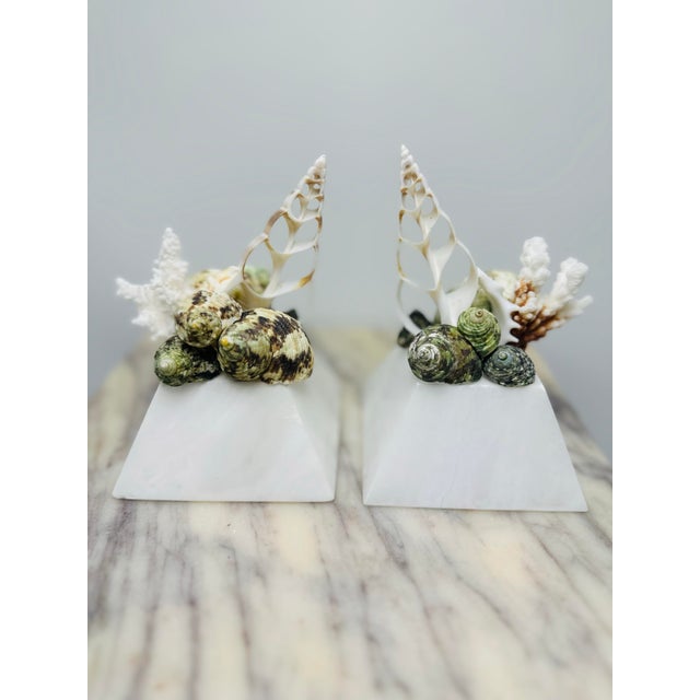 Shell Sculptures, a Pair, on Vintage Italian Marble Bases For Sale In Charleston - Image 6 of 6
