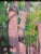 Realism 1994 - Red Trees in the Forrest For Sale - Image 3 of 8