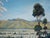 1940s Mid Century Oil Landscape of Santa Clara Valley Before Silicon Valley by Anthony Quartuccio For Sale - Image 5 of 9