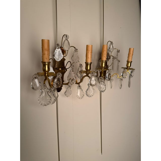 Metal 19th Century French Bronze and Crystal Wall Sconces - Pair For Sale - Image 7 of 7