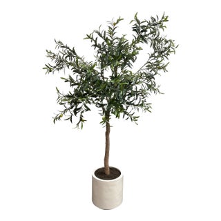 Faux Olive Tree + White Planter For Sale