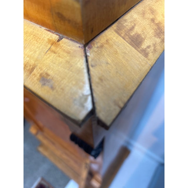 Mid 19th Century Biedermeier Style Tall Cabinet For Sale - Image 15 of 15