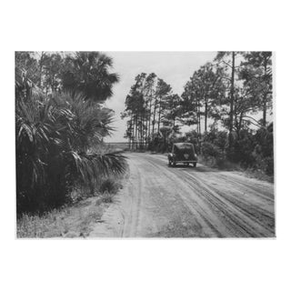 1947 Lowcountry Photograph of Hunting Island South Carolina For Sale