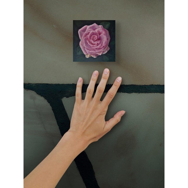This oil painting presents a single pink rose, rendered with meticulous detail against a dark background that enhances its...