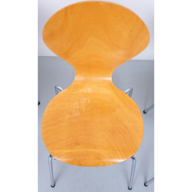 Wood Rondo Chairs in Beech Plywood, Denmark, 1990s, Set of 4 For Sale - Image 7 of 10