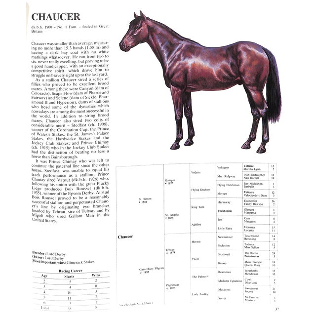 "Champion Horses" 1983 Bongianni, Maurizio For Sale - Image 9 of 12