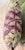 Lavender Tropical Palm Leaf Feather-Down Pillow in Berry, Lilac & Sage 18” X 18” For Sale - Image 8 of 8