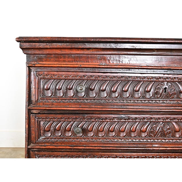 Italian 19th Century Carved Cedar Commode For Sale - Image 10 of 13
