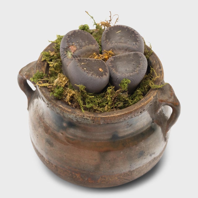 Ceramic Set of Three Chinese Petite Glazed Apothecary Jars, C. 1900 For Sale - Image 7 of 8