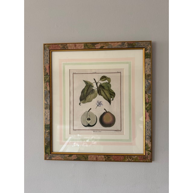 French 18th Century French Hand-Colored Botanical Pear Engravings – “Bezy De Quessoy” & “Messire-Jean” – Framed Pair For Sale - Image 3 of 12