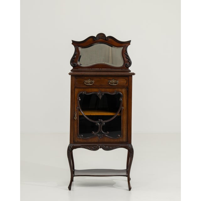 19th Century Victorian Slimline Cabinet For Sale - Image 12 of 13