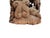 19th-Century Southeast Asian Hand-Carved Teak Temple Pillar Wrap Sculpture For Sale - Image 17 of 18