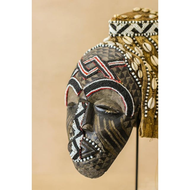 Brown Ngaady Mwaash Mask For Sale - Image 8 of 13