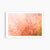 'In the Pink' Set of Botanical Photographs, Series of Four 18 X 12" Fine Art Photography Prints For Sale - Image 14 of 15