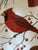 Vintage KayDee Designs Featuring Cardinals Framed in Hand Printed Linen Textiles For Sale - Image 4 of 5