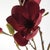 Contemporary Magnolia Branches 34" St/4 For Sale - Image 3 of 4