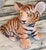 Vintage Made in Italy Terra Cotta Tiger Cub For Sale - Image 13 of 13